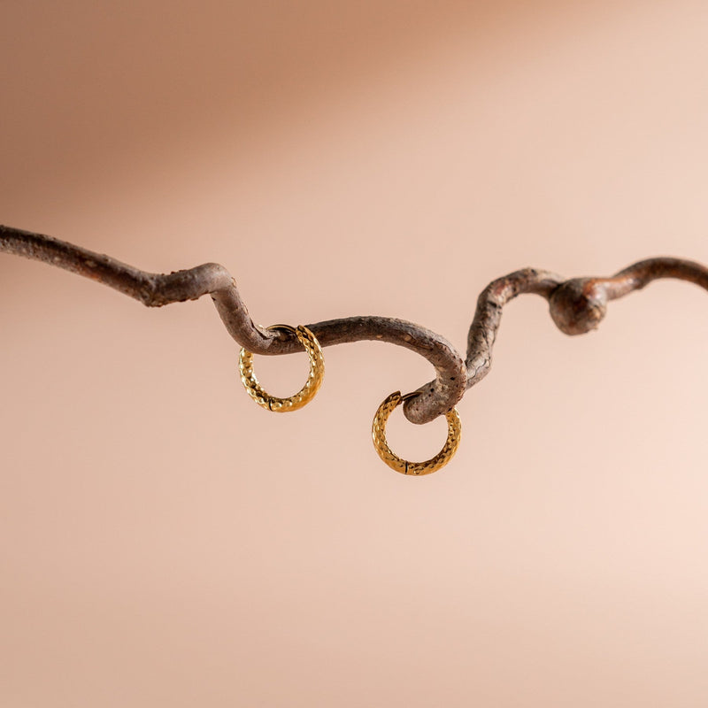 Hammered Hoops Earrings