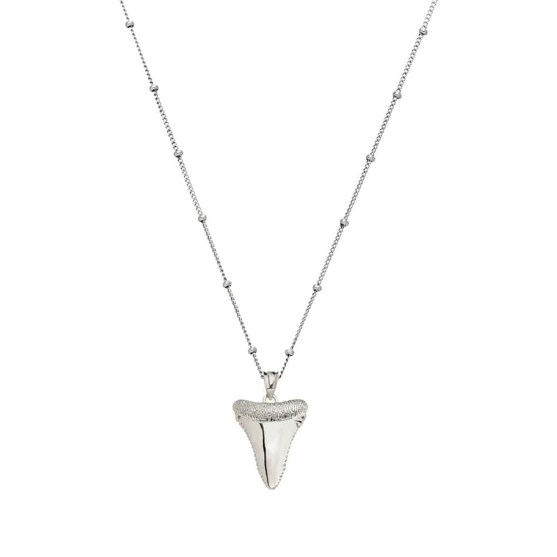 Shark Tooth Necklace